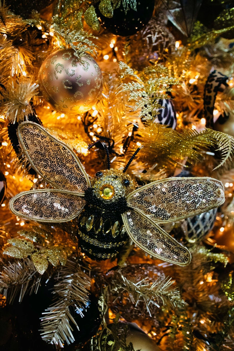 black and yellow spider on brown plant